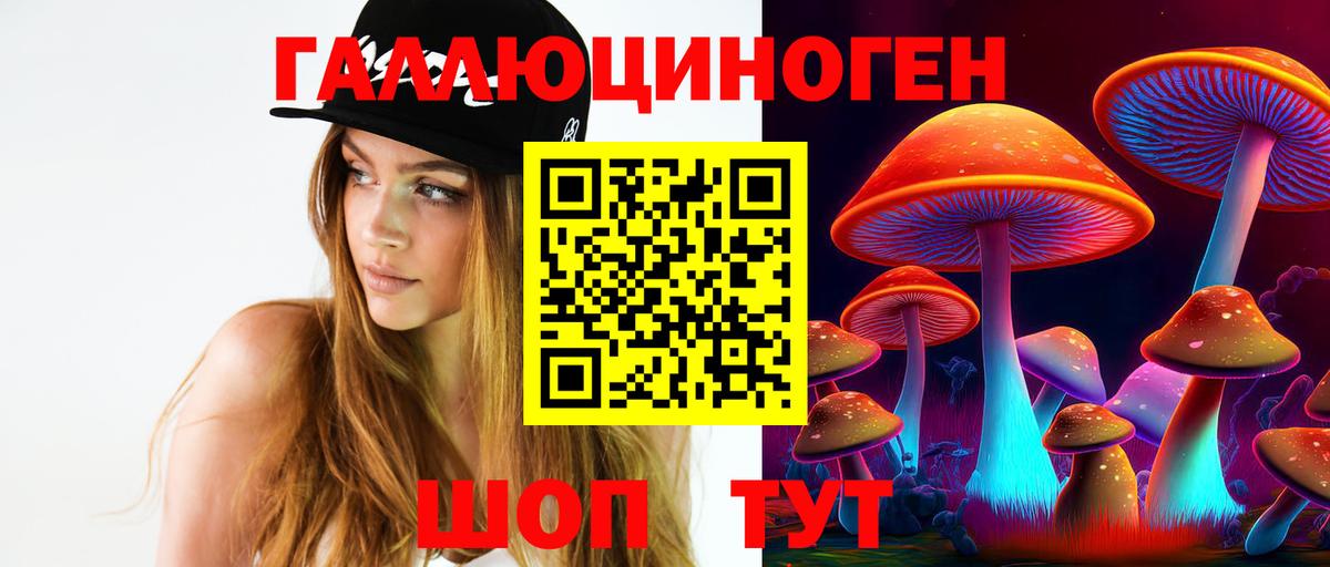 Псилоцибиновые грибы Cubensis Вичуга
